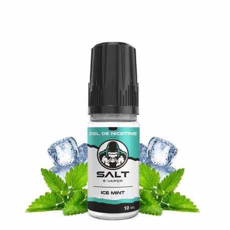 E-liquide Ice mint - Salt E-vapor