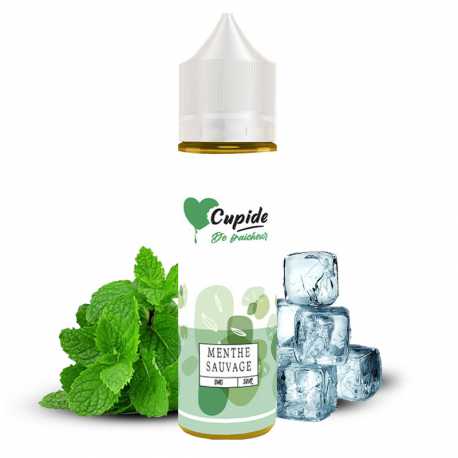 Menthe Sauvage 50ml - Cupide
