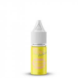 Concentré Mangue Glacée - Bio Pure France