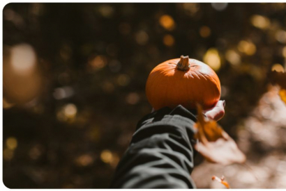 Les nouveautés de la semaine #11